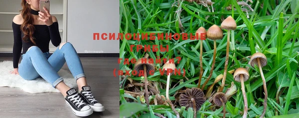 mix Касимов