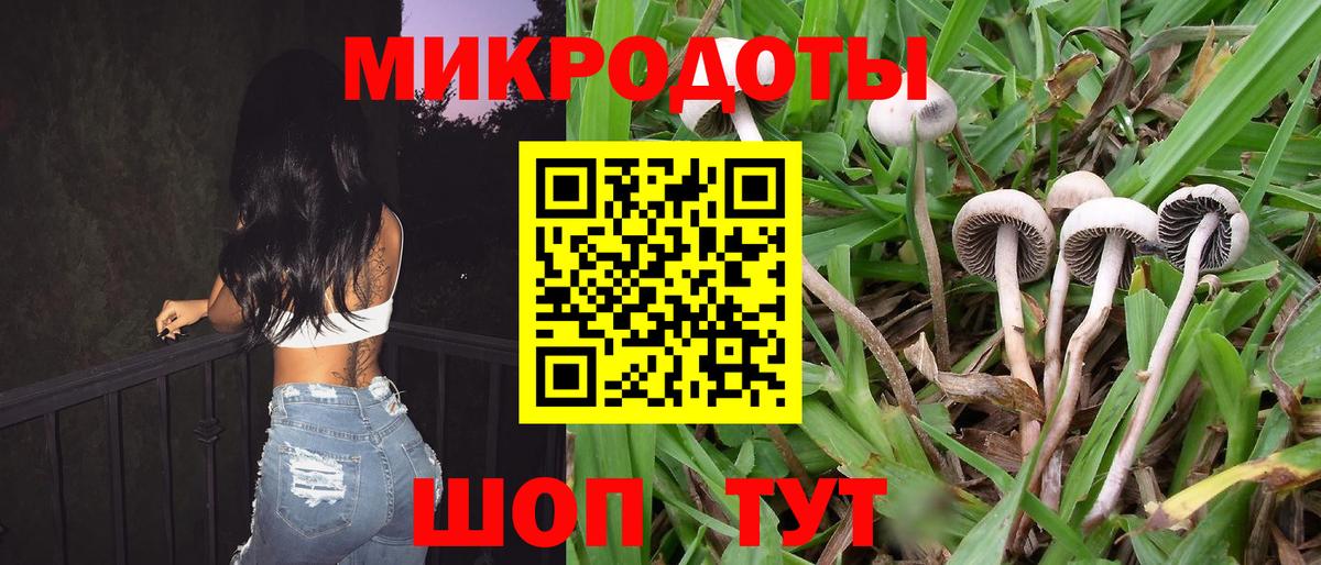 Псилоцибиновые грибы мицелий Псков