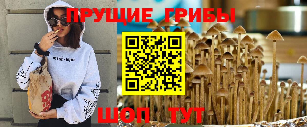 Галлюциногенные грибы MAGIC MUSHROOMS  Вход с VPN  Псков 