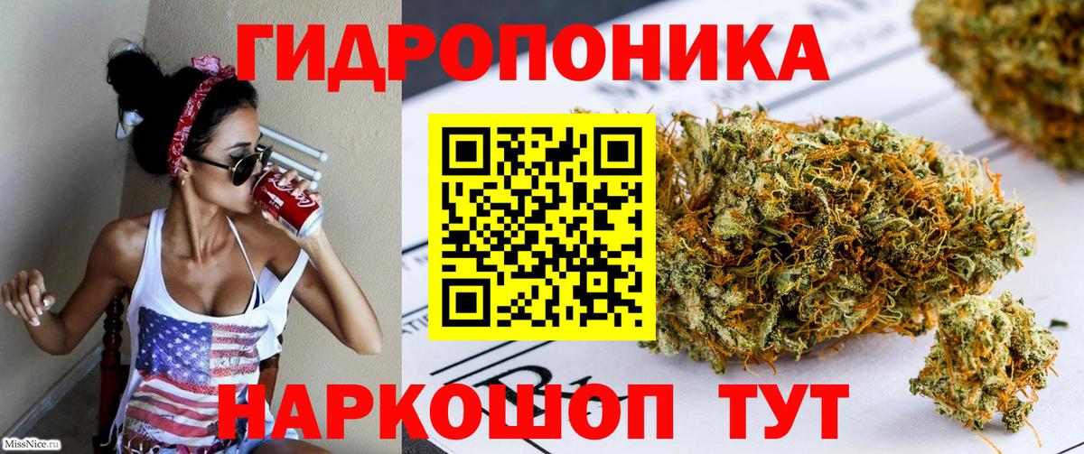 Псков  Канабис тримм  Вход с VPN  Бошки марихуана планчик  Шишки марихуана конопля  Марихуана конопля 